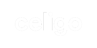 Celigo-B2B-eCommerce