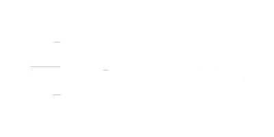 Anglera-B2B-eCommerce1